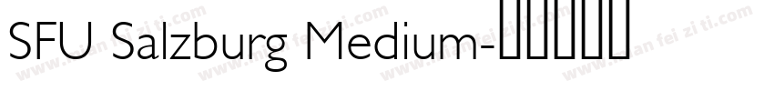 SFU Salzburg Medium字体转换
